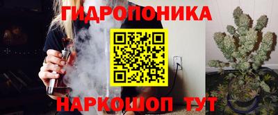 ECSTASY Гусев