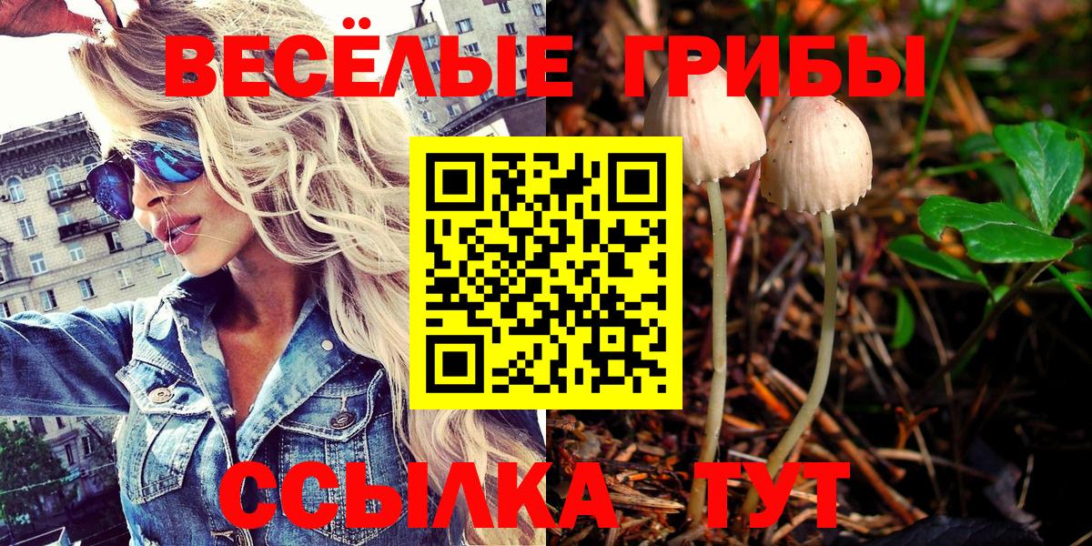 Псилоцибиновые грибы мицелий  Вход с VPN  Надым 